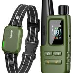 Best E Collar Dog Training