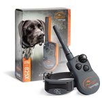 Best Hunting Dog Training Collar