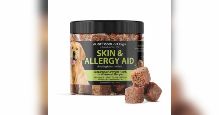 Best Dog Food for Skin Allergies