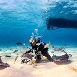 Best Places for Scuba Diving in the Caribbean: Top Spots Revealed 14 Best Places for Scuba Diving in the Caribbean