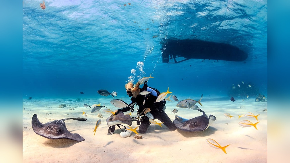 Best Places for Scuba Diving in the Caribbean