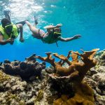 Best Places to Snorkel in Caribbean