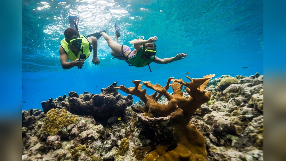 Best Places to Snorkel in Caribbean