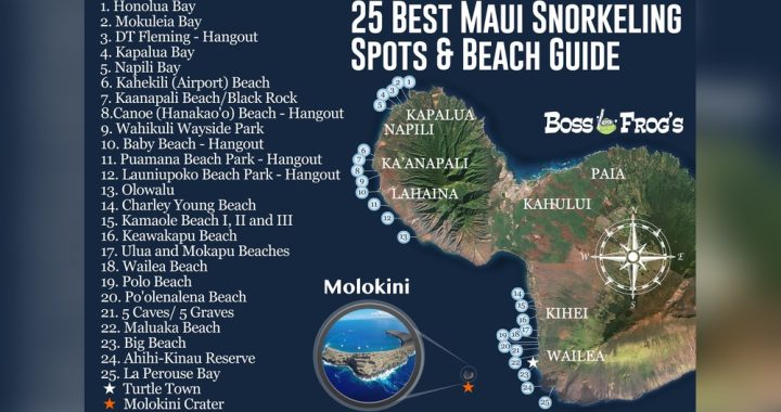 Best Places to Snorkel in Maui
