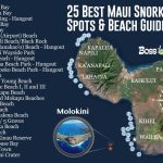Best Places to Snorkel in Maui Hawaii