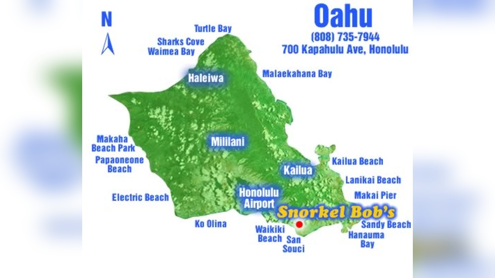Best Places to Snorkel in Oahu