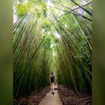 Best Places to Travel Solo Female in Us
