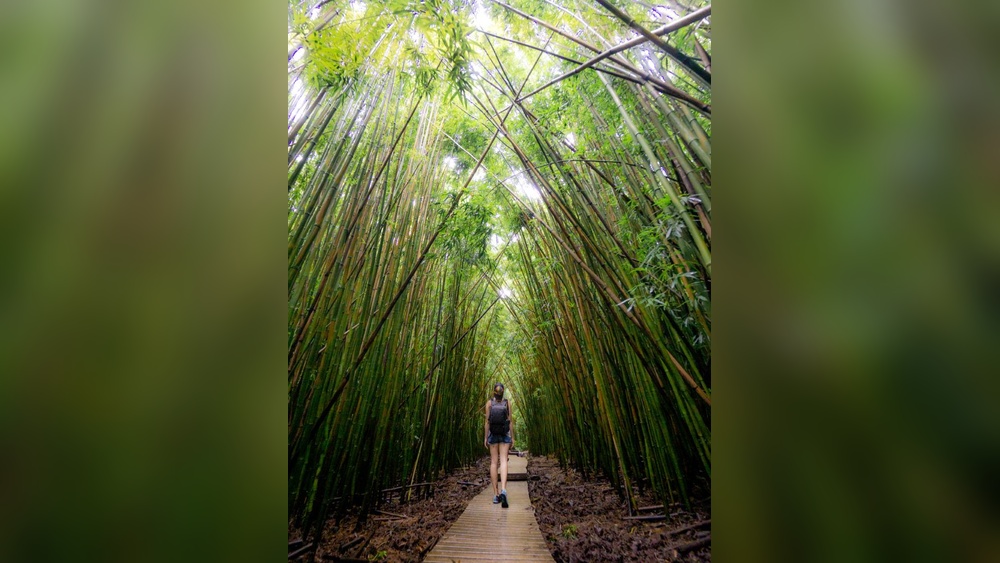 Best Places to Travel Solo Female in Us