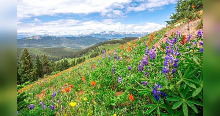 Best Places to Visit in July Usa