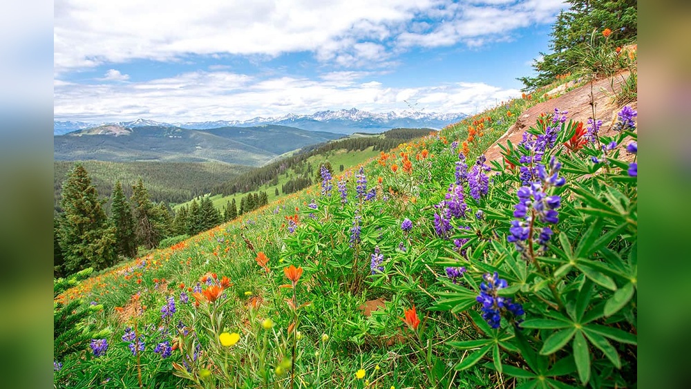 Best Places to Visit in July Usa