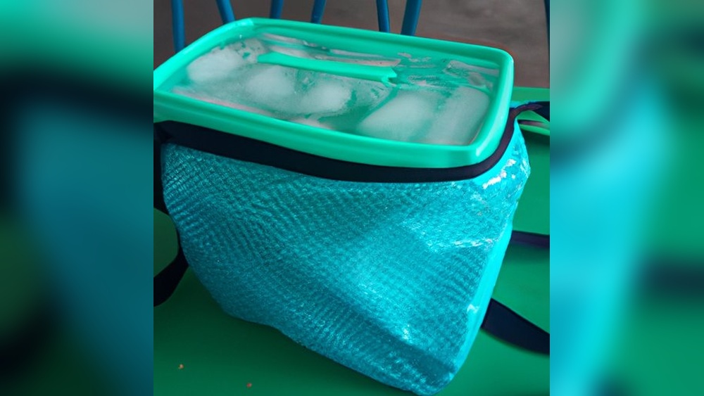 How to Keep Food Frozen While Traveling