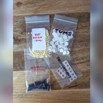 How to Pack Vitamins for International Travel