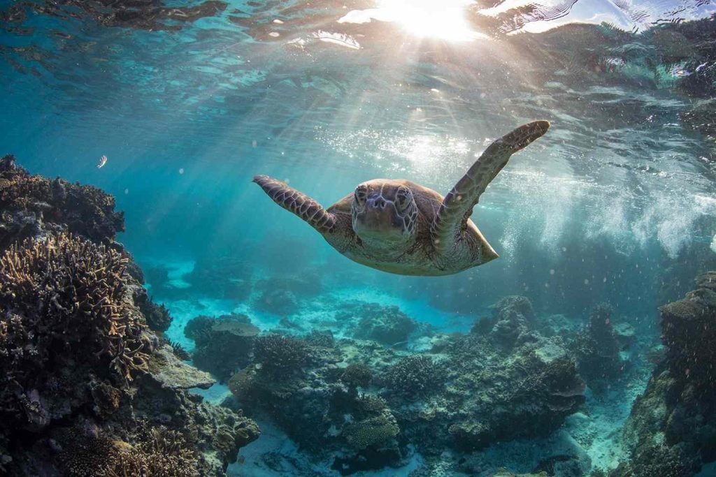 Best Places to Scuba Dive