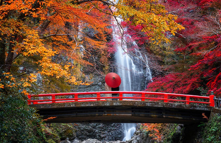 Best Places to See Fall Foliage: Top 5 Scenic Spots Revealed 2 image 4