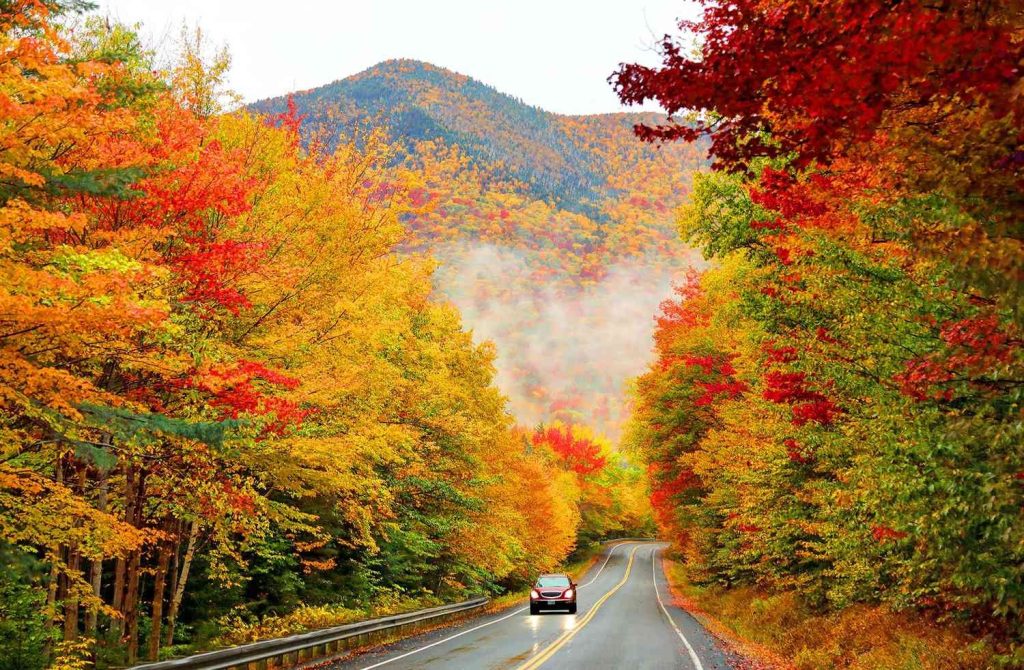 Best Places to See Fall Foliage: Top 5 Scenic Spots Revealed 3 image 5