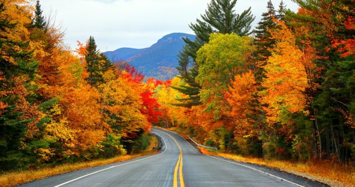 Best Places to See Fall Foliage